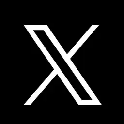 X (Twitter)